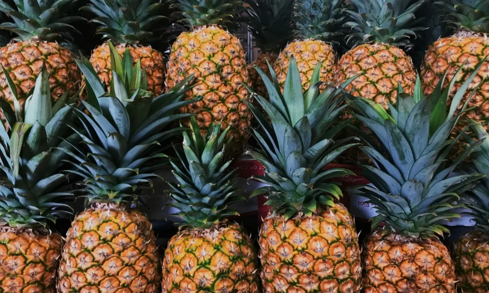 Fedeagro: producción de piña crece 15% en Venezuela