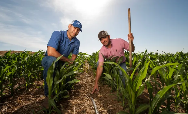 Riego invisible: clave en nuevos proyectos argentinos agrícolas