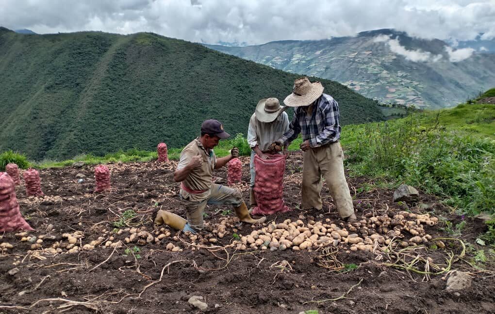 Se observa el espacio territorial las actividades agrícolas