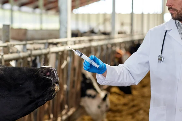 Productores agropecuarios de Bolívar denuncian escasez de veterinarios oficiales
