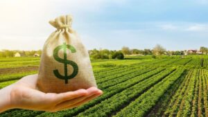 Se necesita urgente la cartera agricola