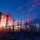 FEDEAGRO exige financiamiento e inversiones eléctricas para recuperar campo venezolano