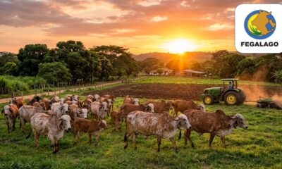ZULIA SE CONSOLIDA COMO EL EPICENTRO DE LA GANADERÍA TROPICAL LATINOAMERICANA