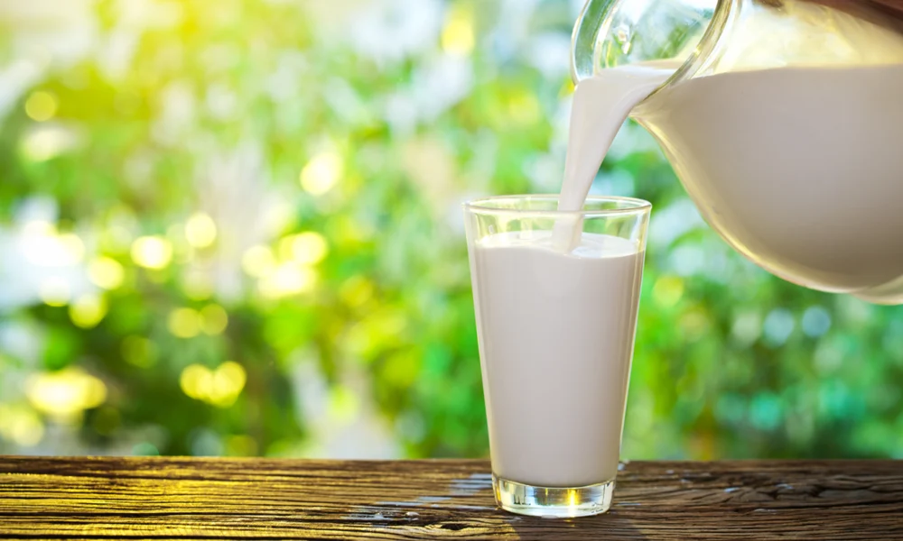 Día Mundial de la Leche: Uno de los alimentos con más valor nutricional del mundo