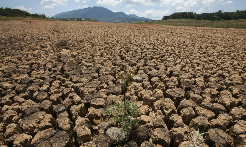 Sequías y aumento de temperaturas se esperan entre agosto y septiembre por «El Niño»