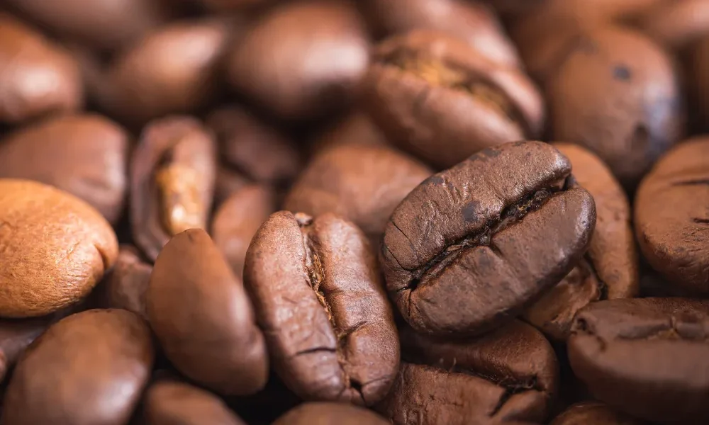 Ministro de Agricultura instala mesa técnica para el Reglamento de la Ley del Café