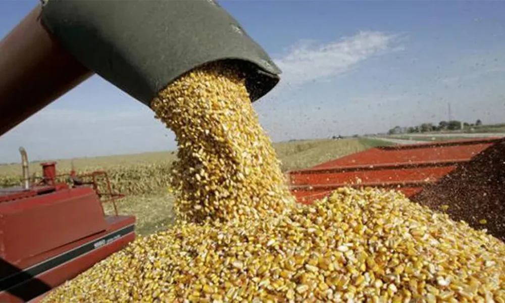 Ecuador: Nuevo ministerio reorganiza la gestión agrícola, productiva y comercial