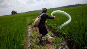 Venezuela-agricultura-1-2