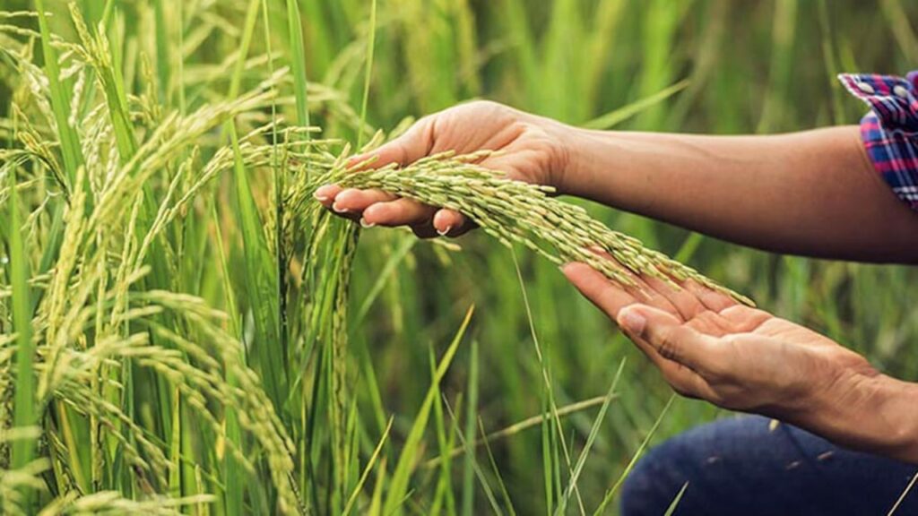 Reducir los costos de producción