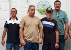 Cañicultores de Asoprosur piden realizar Asamblea de Socios