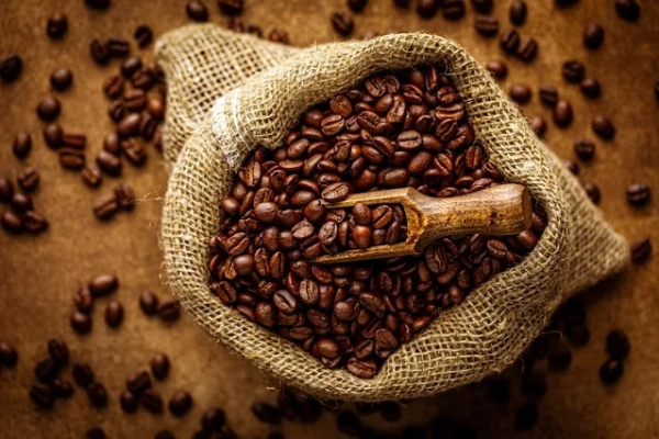Las exportaciones de café brasileño caen un 5,9% hasta julio