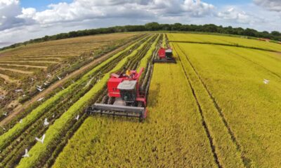Gobierno acuerda priorizar las cosechas del 2026 con los productores