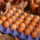 Sector avícola crece un 12% en 2026 y sobrepasa el millón de cajas de huevos mensuales