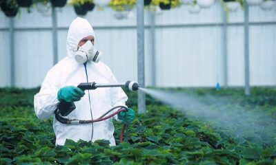 México producirá el primer biofungicida de RNA con 0 millones