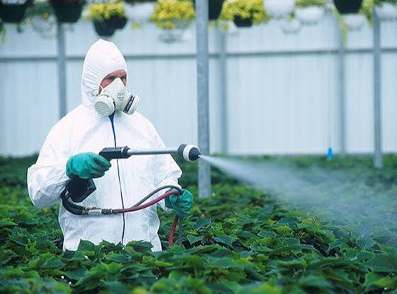 México producirá el primer biofungicida de RNA en el mundo