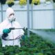 México producirá el primer biofungicida de RNA en el mundo