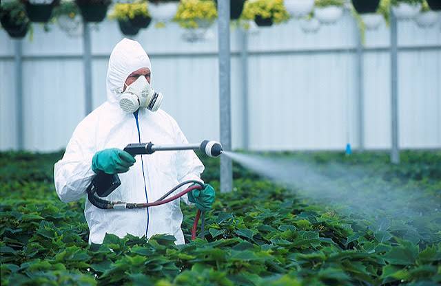 México producirá el primer biofungicida de RNA en el mundo