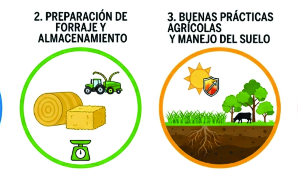 “Súper Niño” en Venezuela: Devastador impacto agrícola y estrategias de supervivencia.