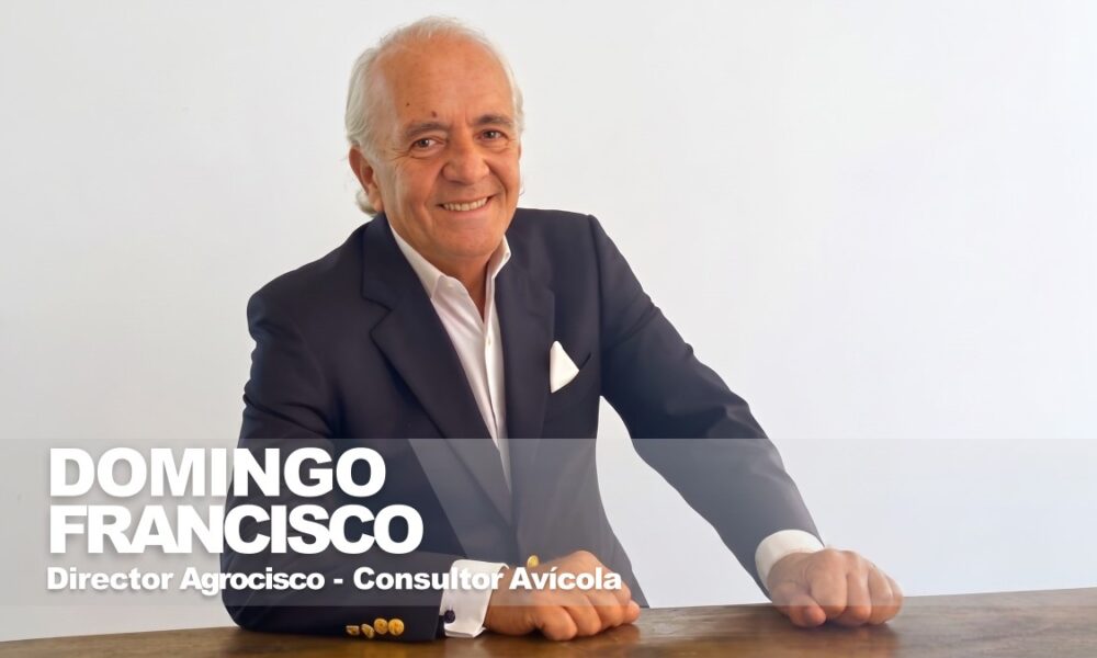 Mercado Avícola Venezolano 2026