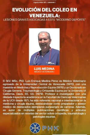 CV EXPO LUIS MEDINA