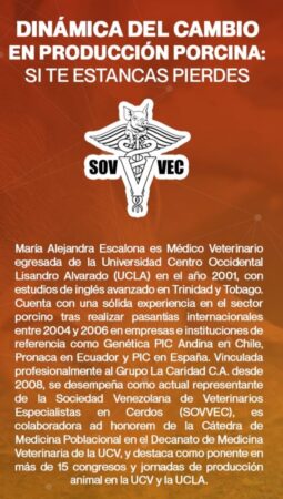 CV RESUMIDO MAE