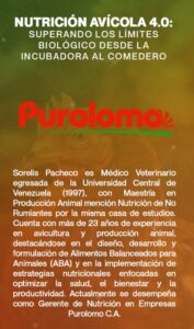 CV Sorelis