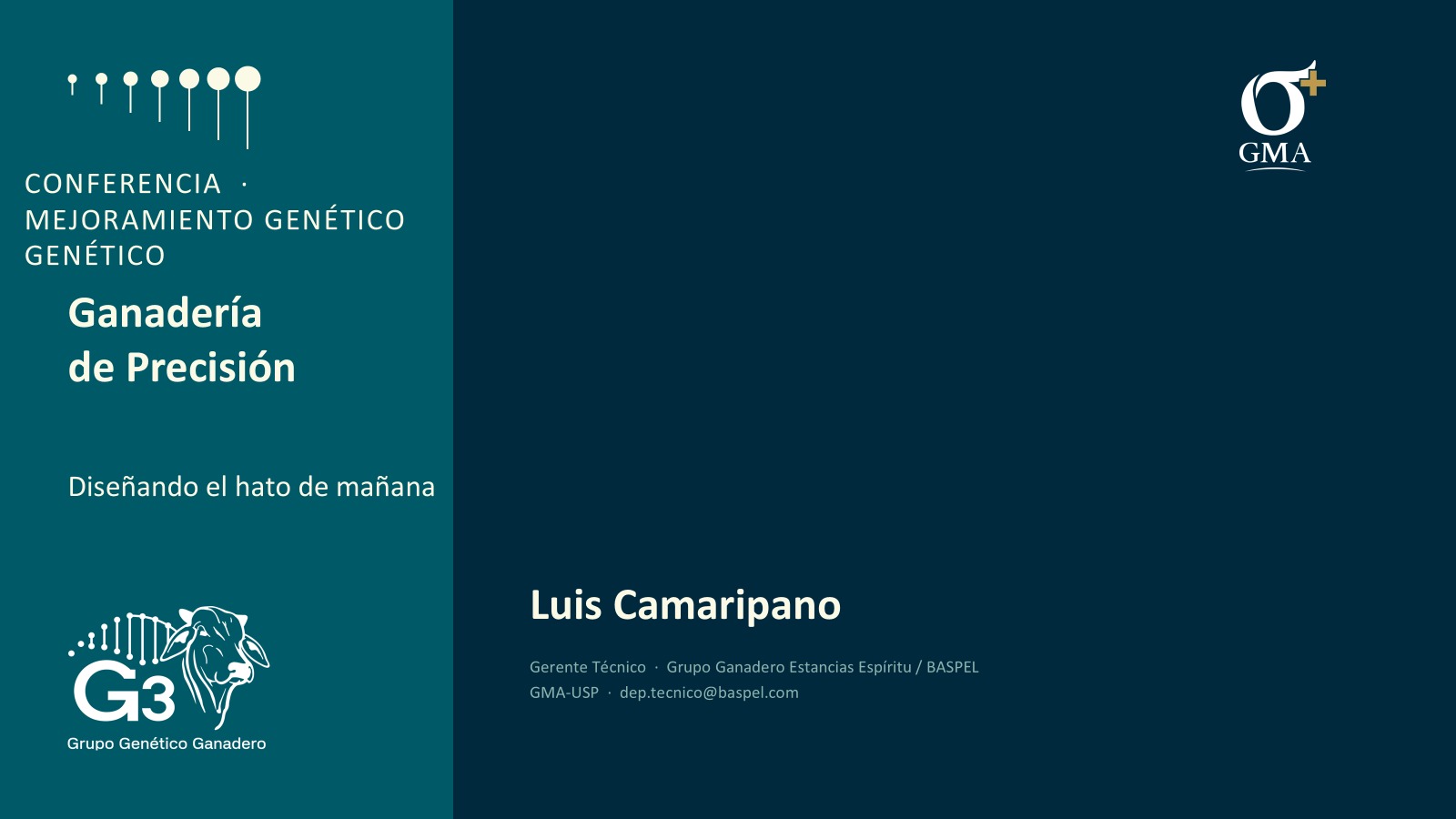 Luis Camaripano Ruiz
