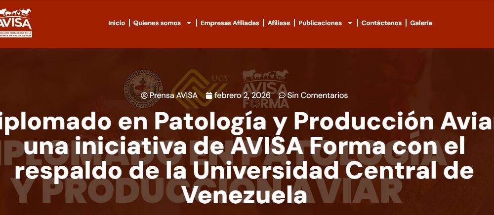 Diplomado Avisa