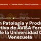 Diplomado Avisa