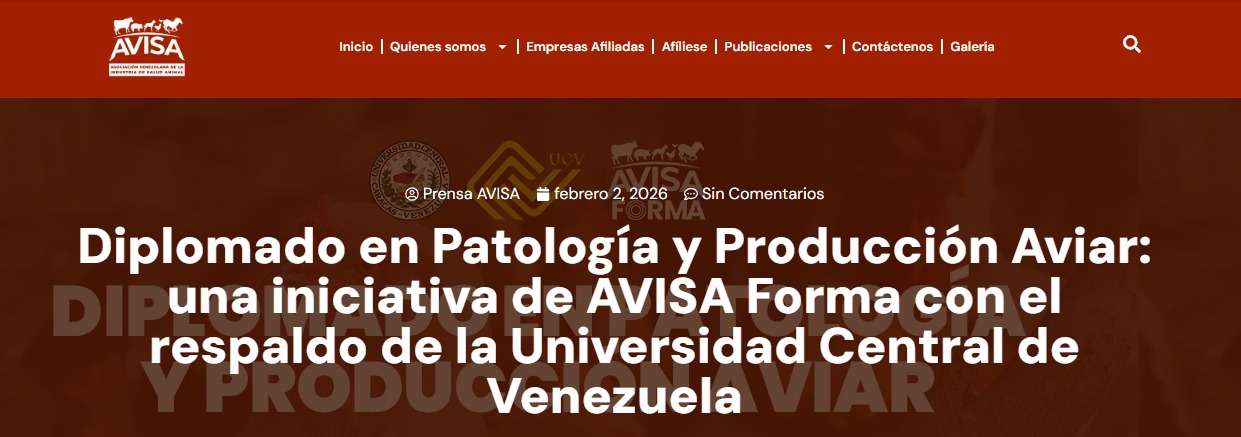 Diplomado Avisa