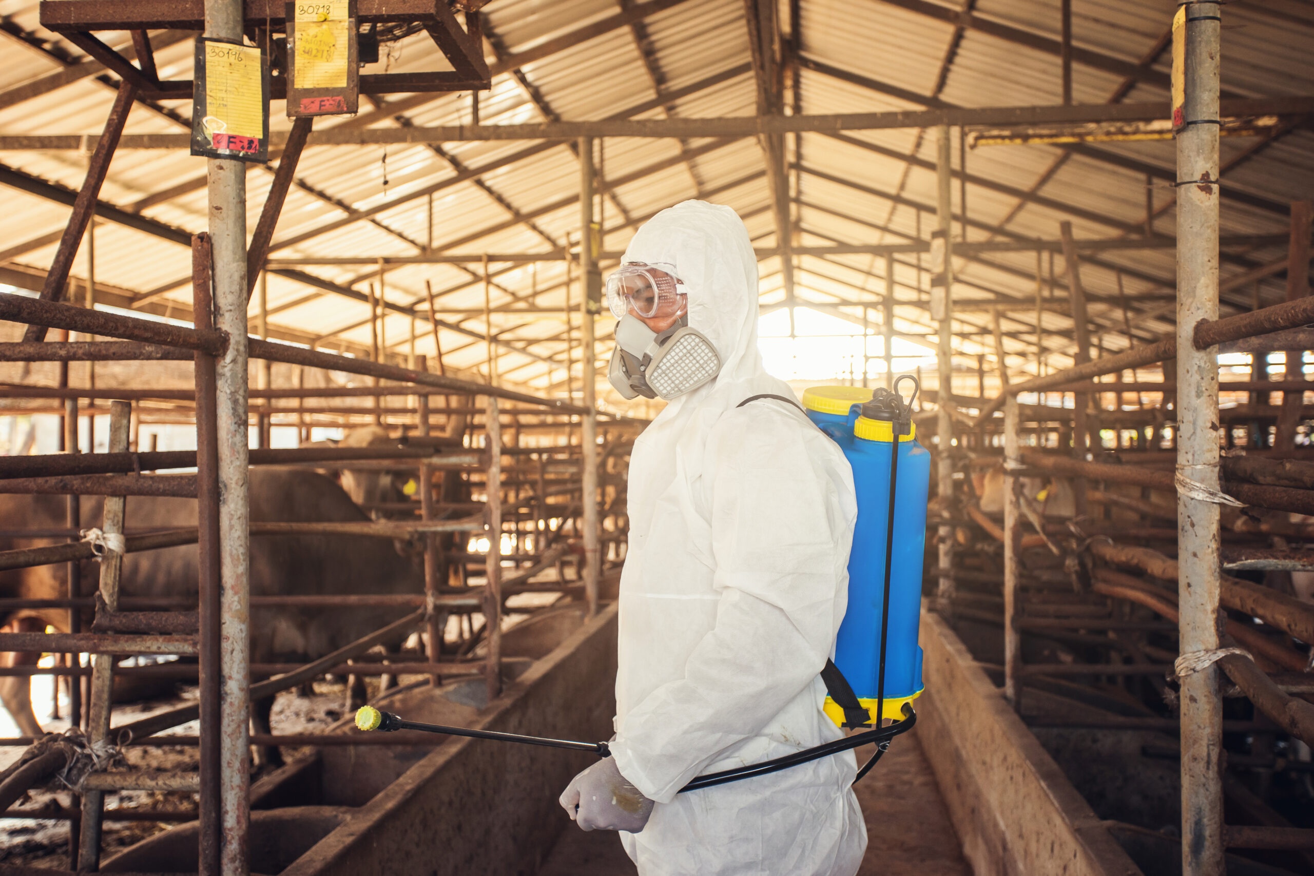 BIOSEGURIDAD EN GANADERIA