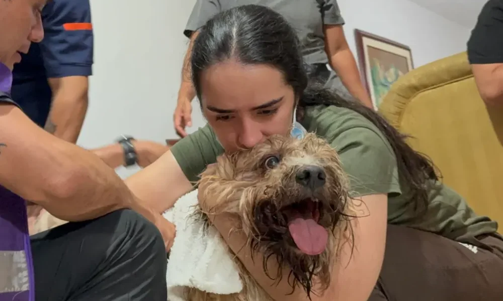 MV. Bernadette Anzola: Impacto Conductual tras el Desastre y Manejo Etológico Postraslado