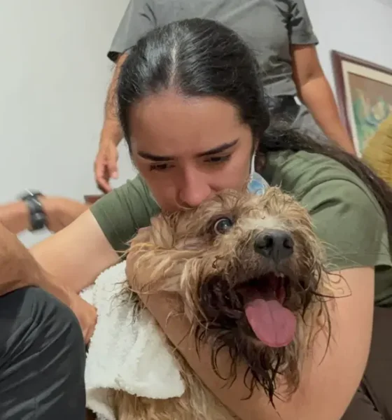 MV. Bernadette Anzola: Impacto Conductual tras el Desastre y Manejo Etológico Postraslado