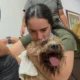 MV. Bernadette Anzola: Impacto Conductual tras el Desastre y Manejo Etológico Postraslado