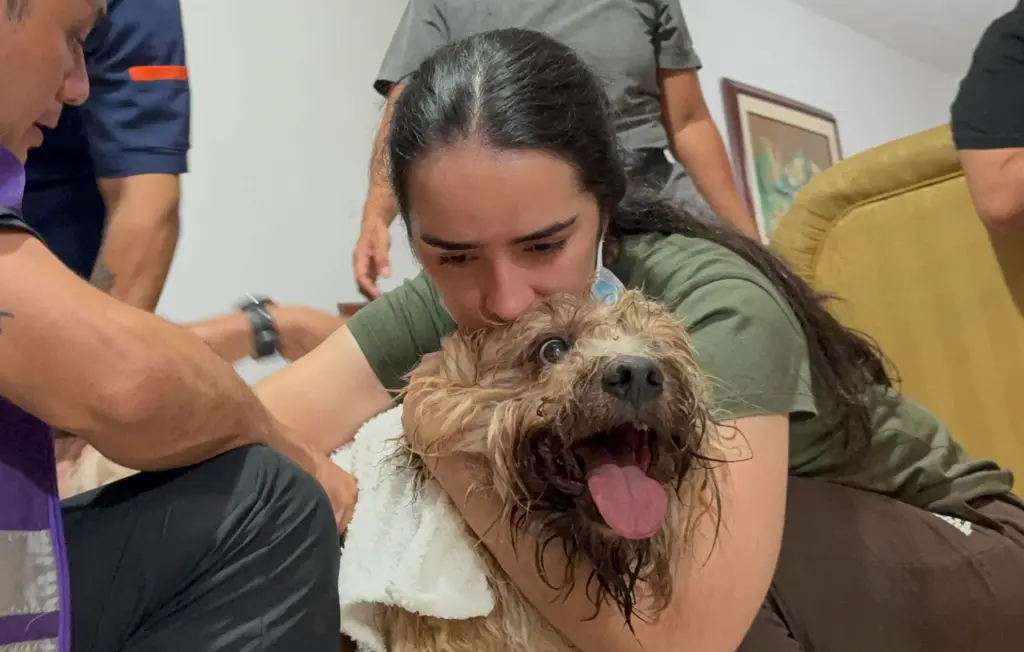 MV. Bernadette Anzola: Impacto Conductual tras el Desastre y Manejo Etológico Postraslado