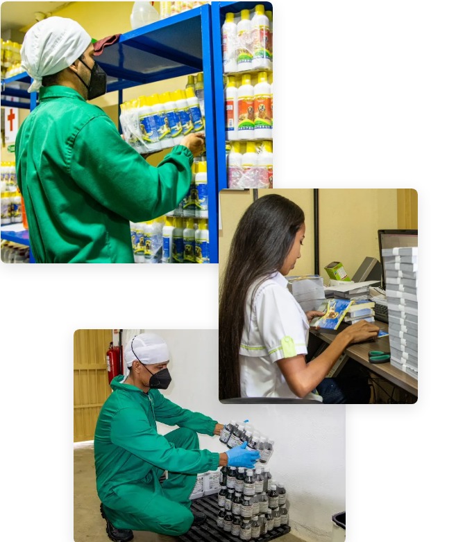Aplicacion de medicinas veterinarias