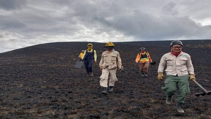 Incendio forestal en Mérida afecta a más de 160 hectáreas