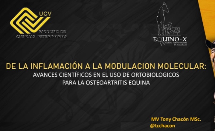 Tony Chacon Lamina