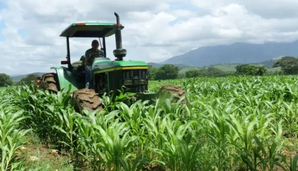 Fedeagro rechaza Ley de Soberanía Alimentaria y pide derogaciones