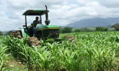 Fedeagro rechaza Ley de Soberanía Alimentaria y pide derogaciones