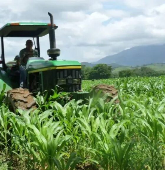 Fedeagro rechaza Ley de Soberanía Alimentaria y pide derogaciones