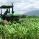 Fedeagro rechaza Ley de Soberanía Alimentaria y pide derogaciones