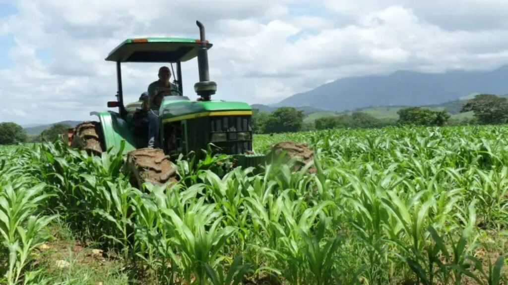 Fedeagro rechaza Ley de Soberanía Alimentaria y pide derogaciones