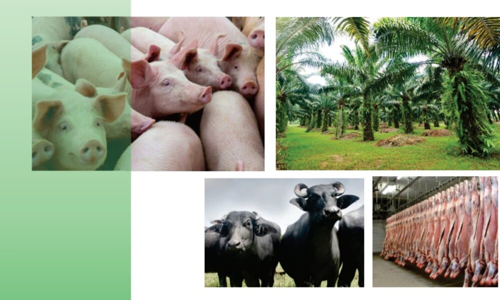 Sector Agroproductivo – Encuentro Gerencial