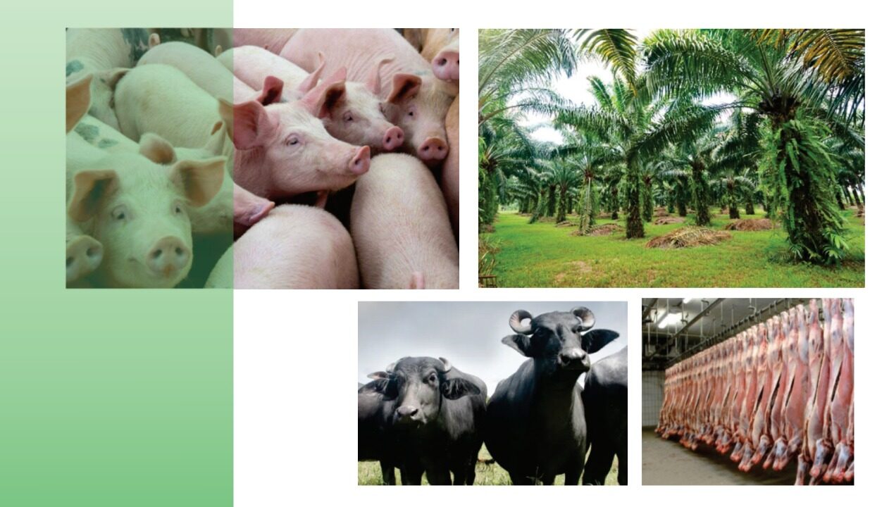 Sector Agroproductivo – Encuentro Gerencial