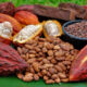 Guanare albergará el I Congreso Nacional del Cacao