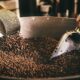 Caficultores de Portuguesa y Lara exigen precios justos