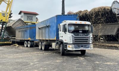 Molipasa prevé moler un millón de toneladas de caña