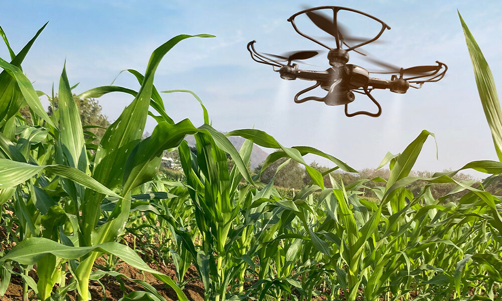 Levantan suspensión de drones para fertilización y monitoreo