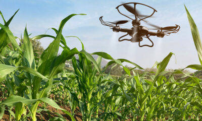 Levantan suspensión de drones para fertilización y monitoreo